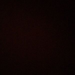 Meet your Posher, Daniela(me)